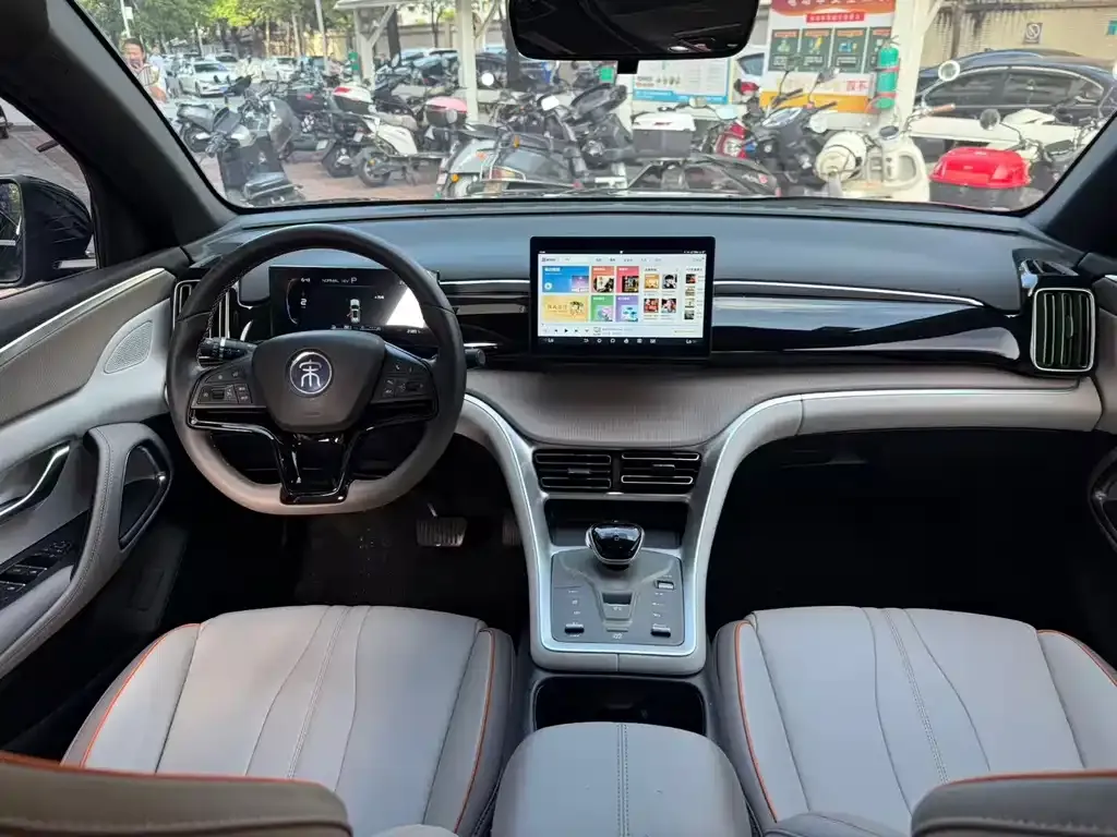BYD Pro New Energy — фото 2