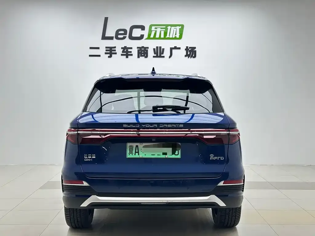 BYD Pro New Energy — фото 4