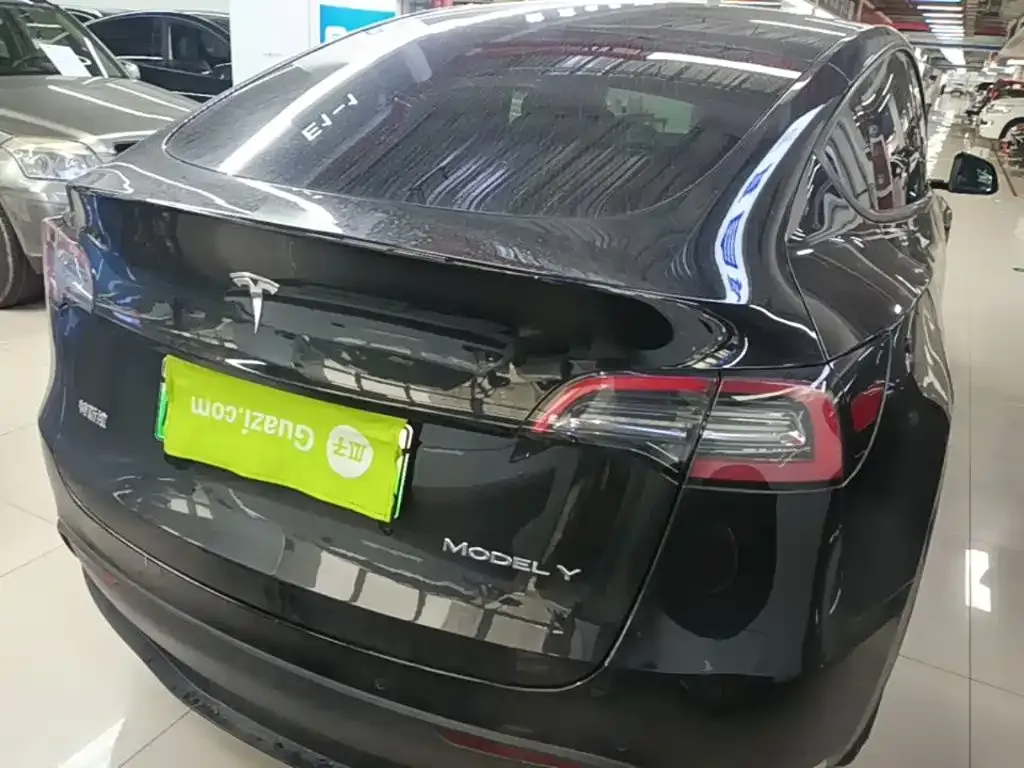 Tesla Model Y — фото 2