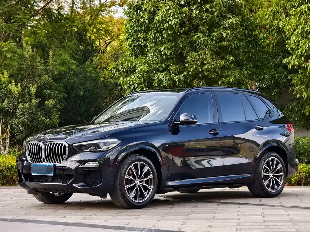 BMW X5 (Import) — фото 1