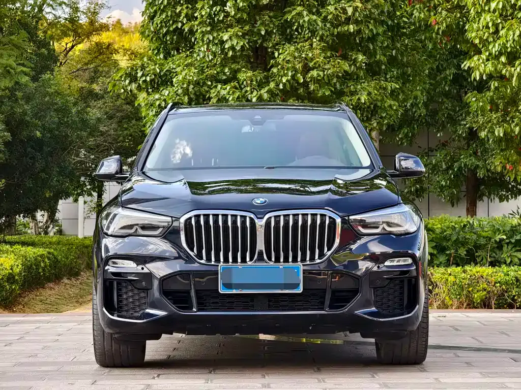 BMW X5 (Import) — фото 8