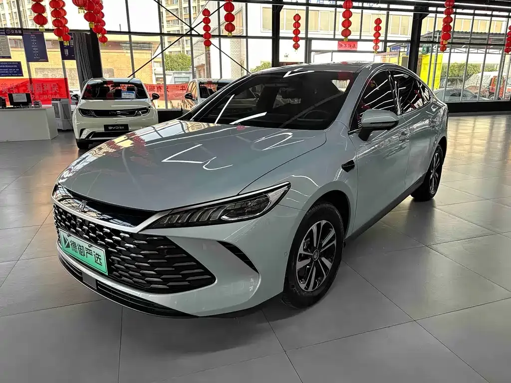 BYD Qin PLUS — фото 1
