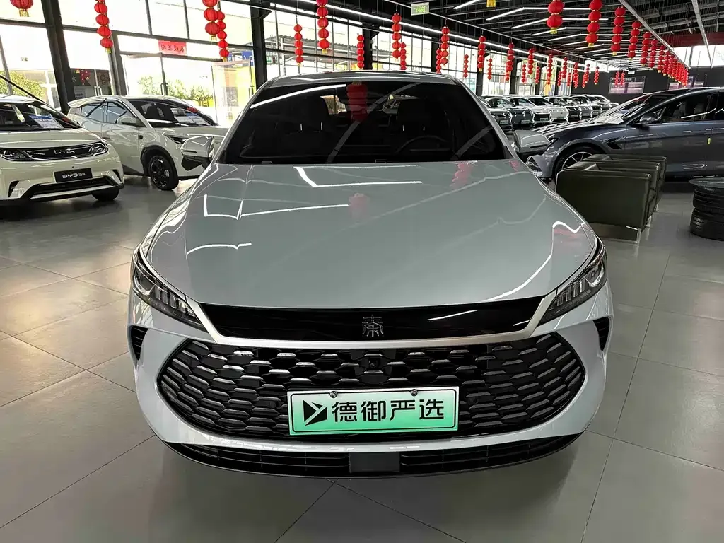 BYD Qin PLUS — фото 10