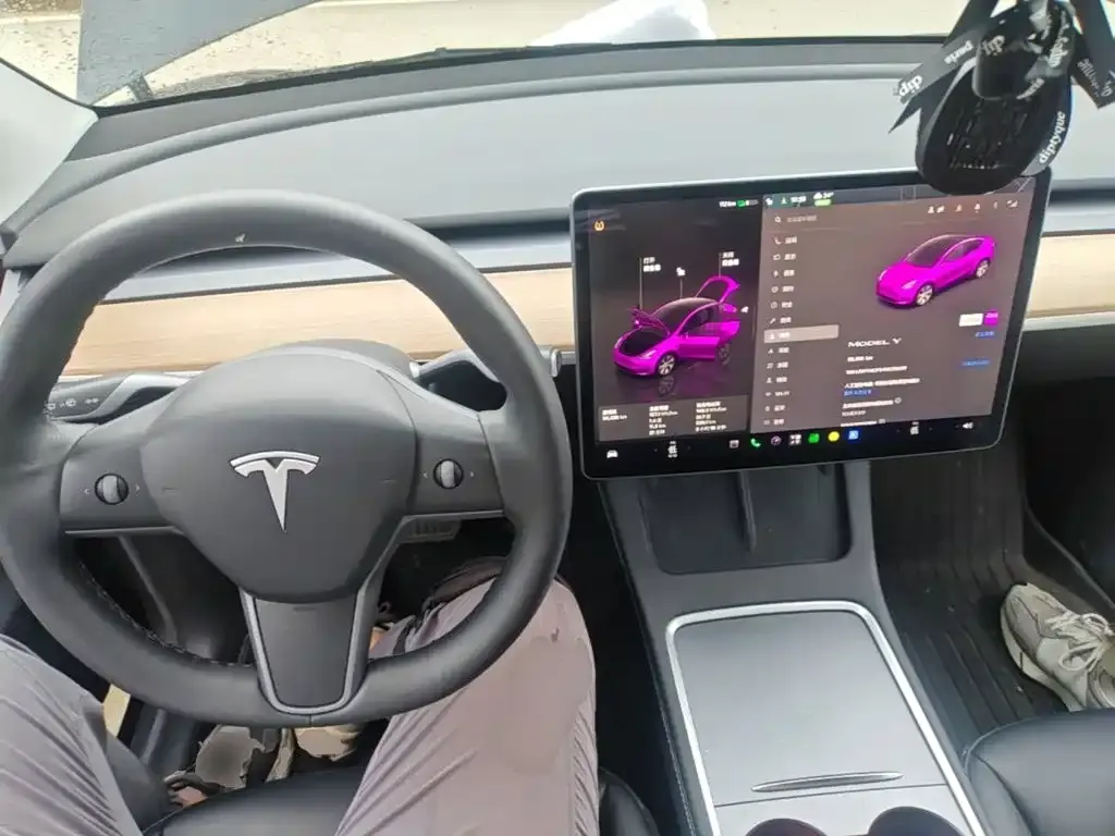 Tesla Model Y — фото 10