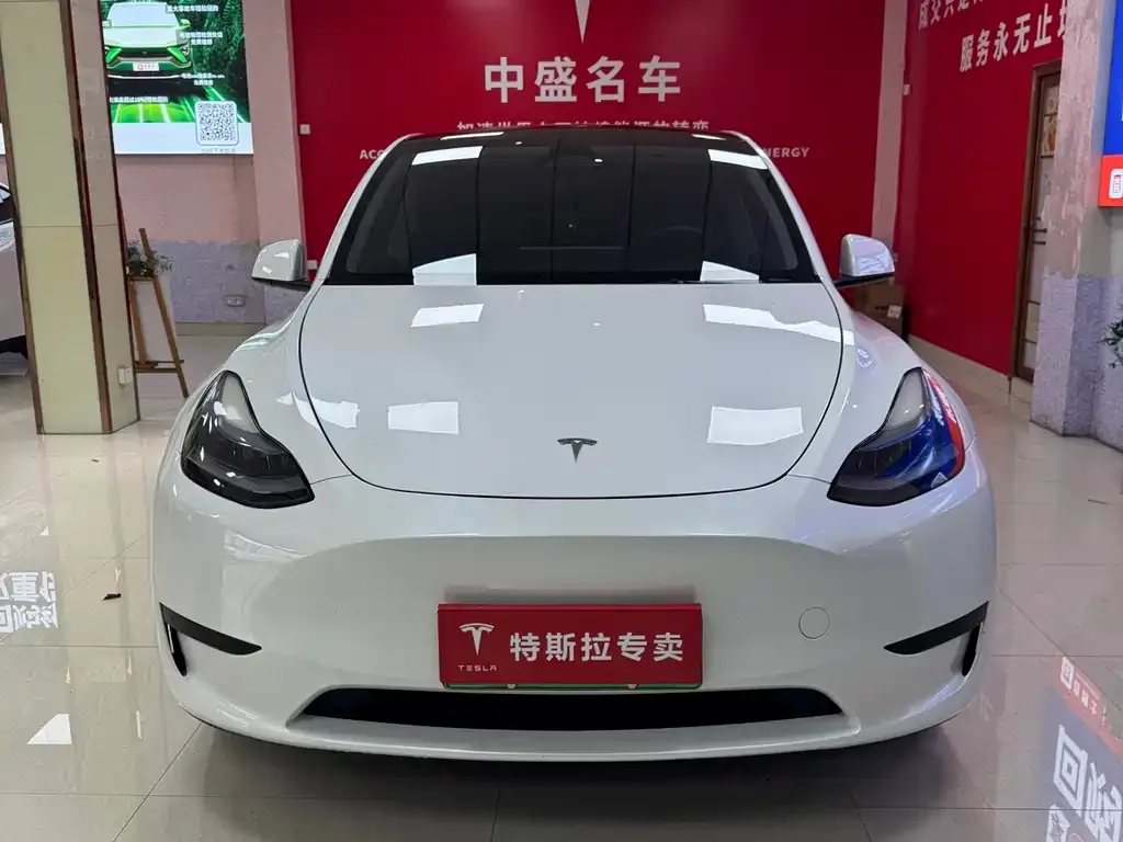 Tesla Model Y — фото 3