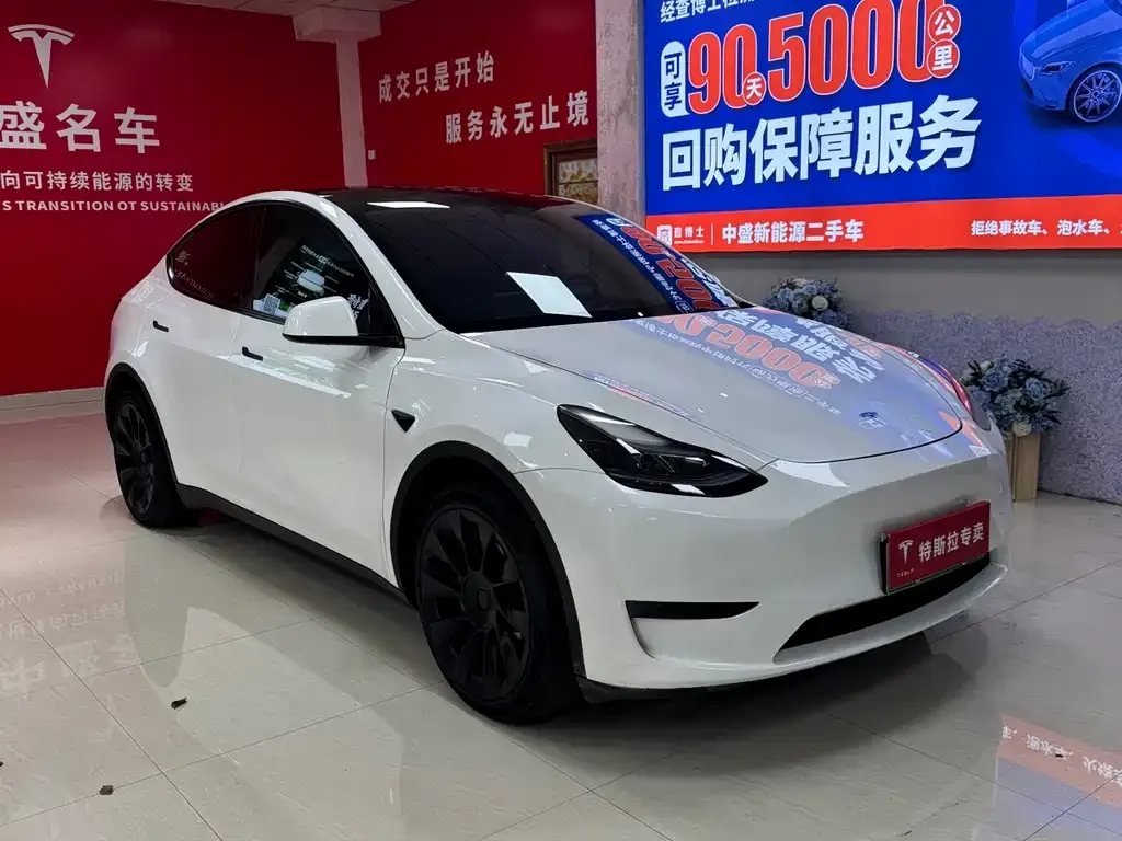 Tesla Model Y — фото 4
