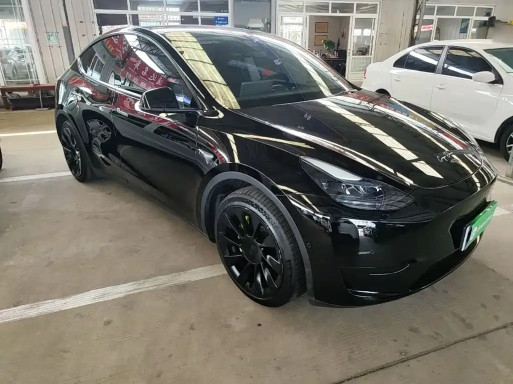 Tesla Model Y — фото 10