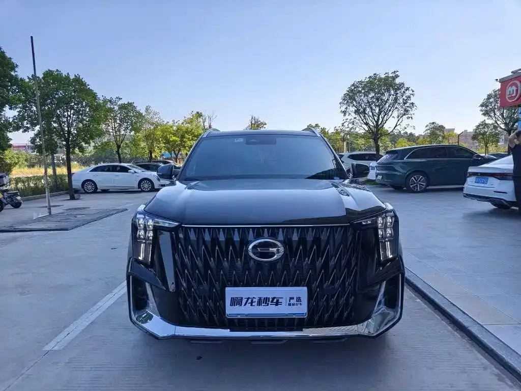 GAC Motor Trumpchi GS8 — фото 2
