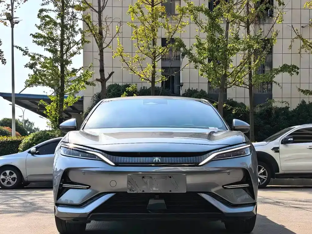 BYD L EV — фото 1