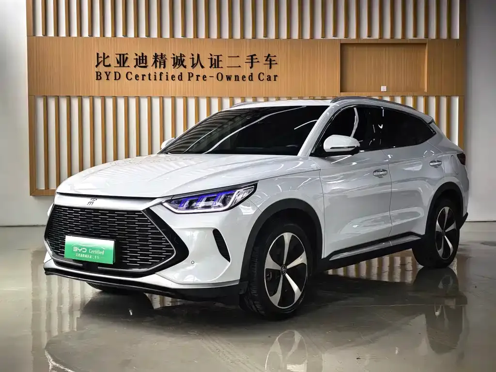 BYD PLUS New Energy — фото 1
