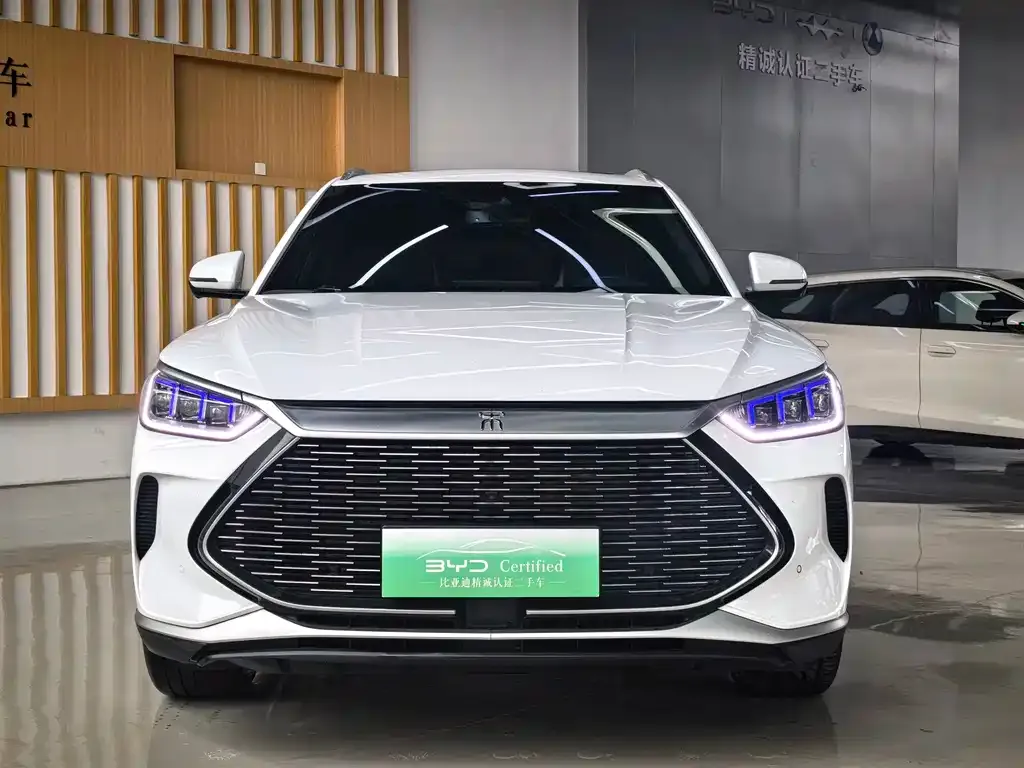 BYD PLUS New Energy — фото 8