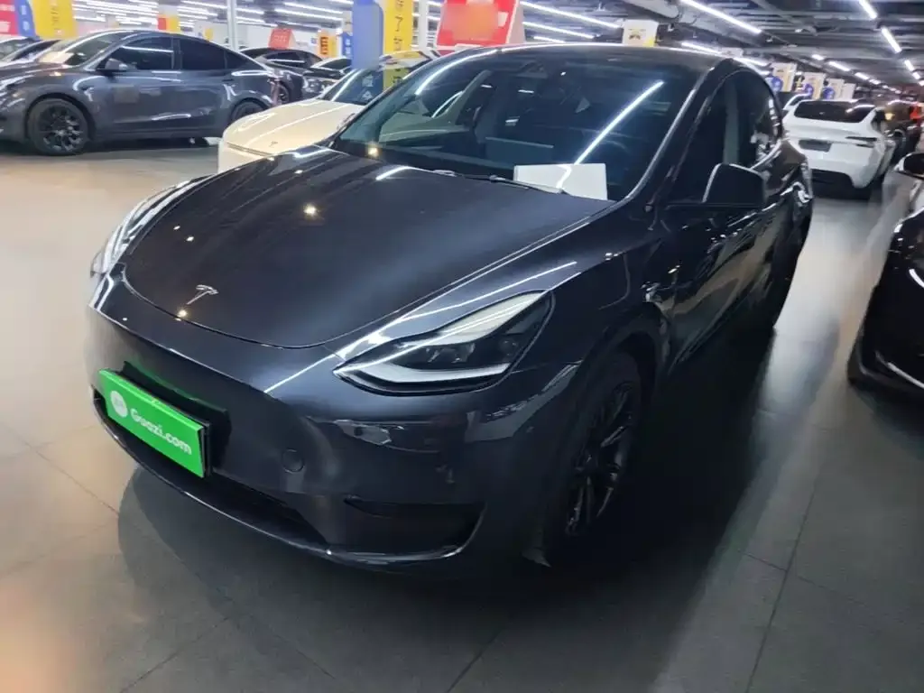 Tesla Model Y — фото 1