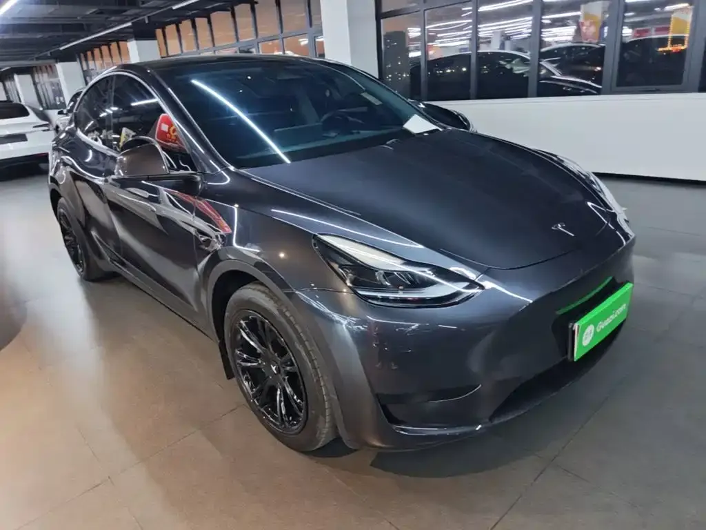 Tesla Model Y — фото 10