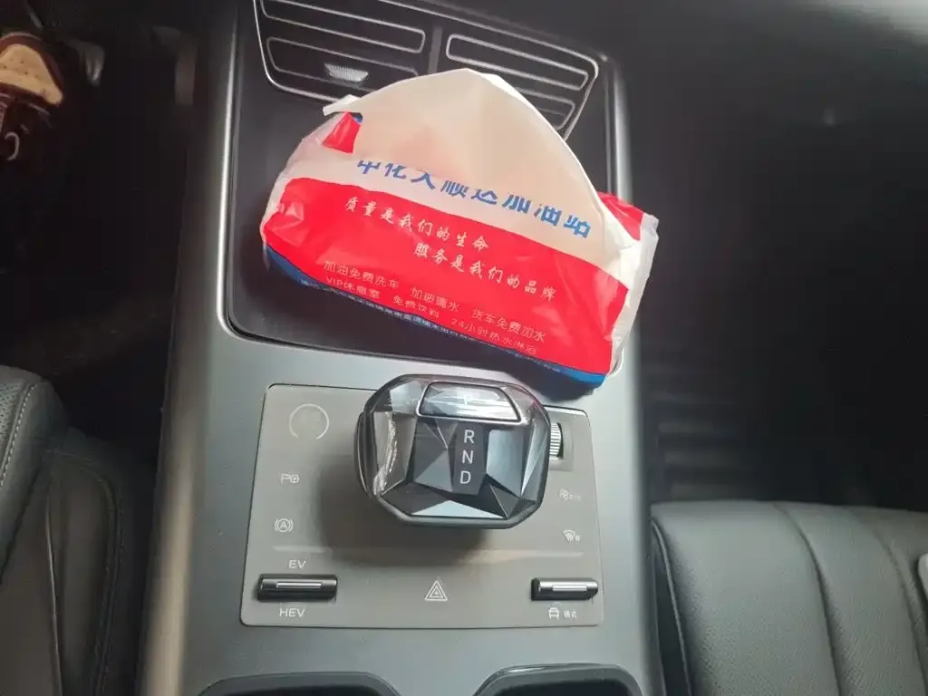 BYD Pro New Energy — фото 4