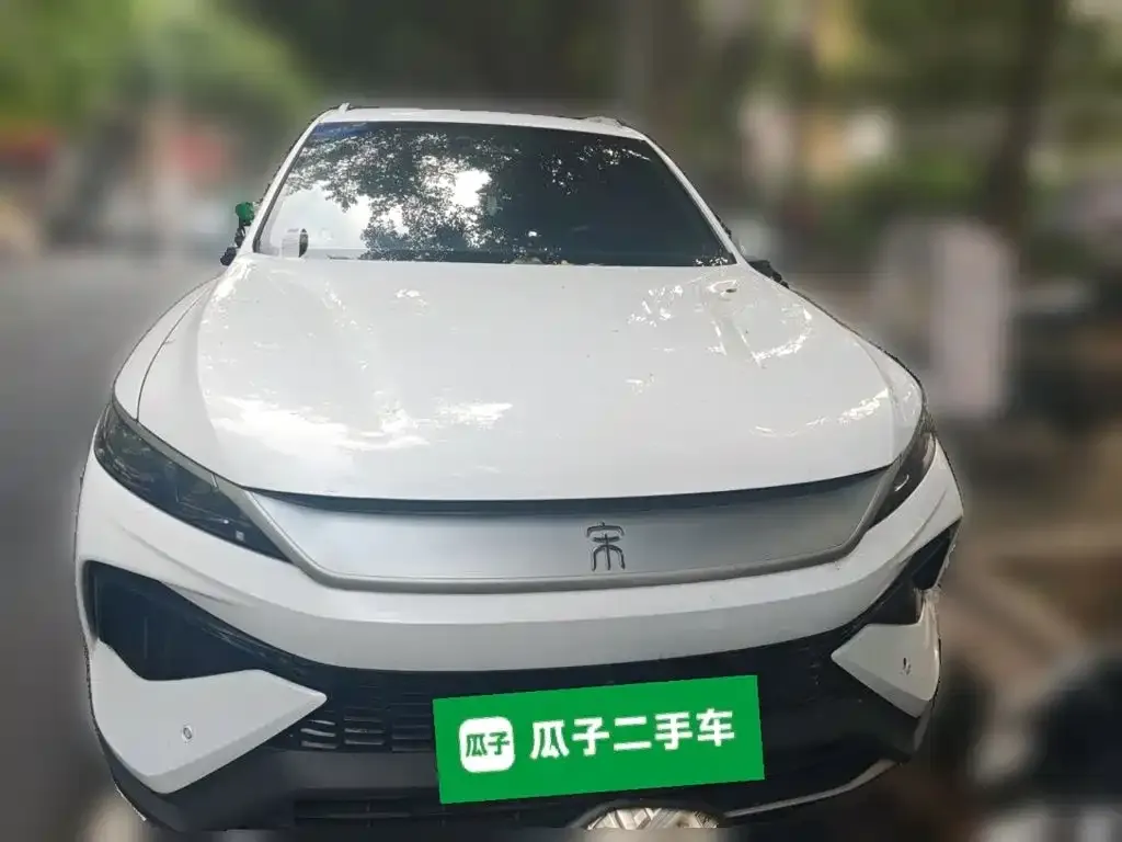 BYD Pro New Energy — фото 7