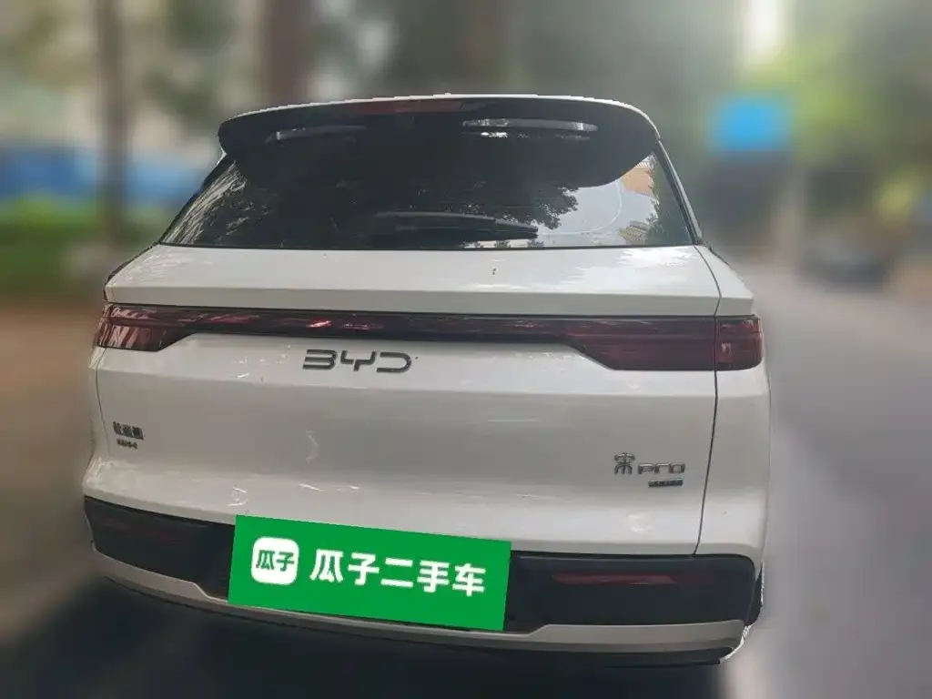BYD Pro New Energy — фото 8