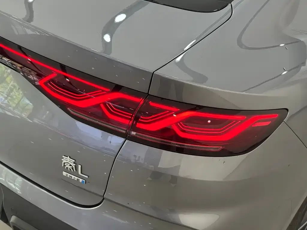 BYD Qin L — фото 8