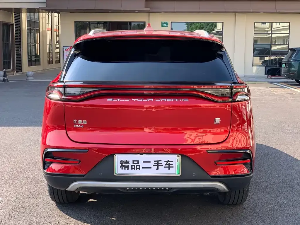 BYD Tang New Energy — фото 8