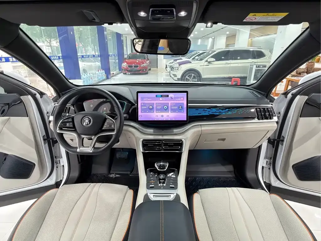 BYD PLUS New Energy — фото 4