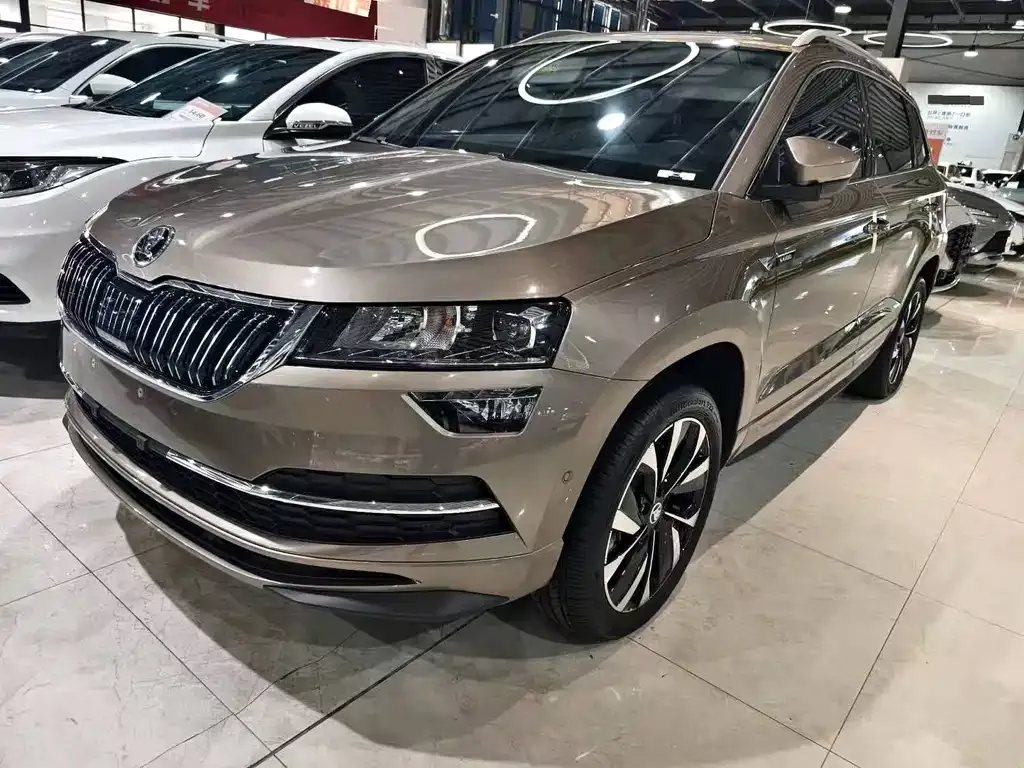 Skoda Karoq — фото 4