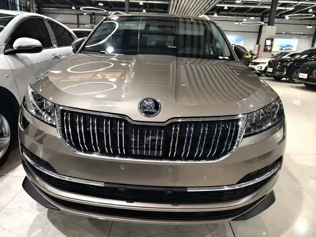 Skoda Karoq — фото 8