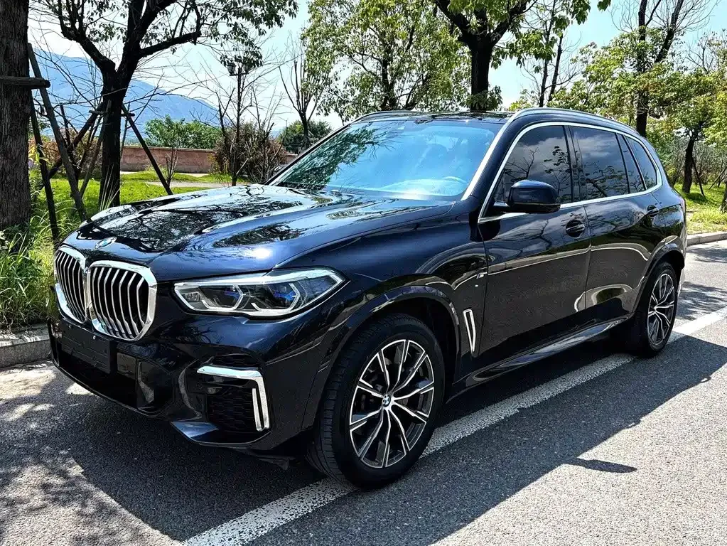 BMW X5 — фото 1