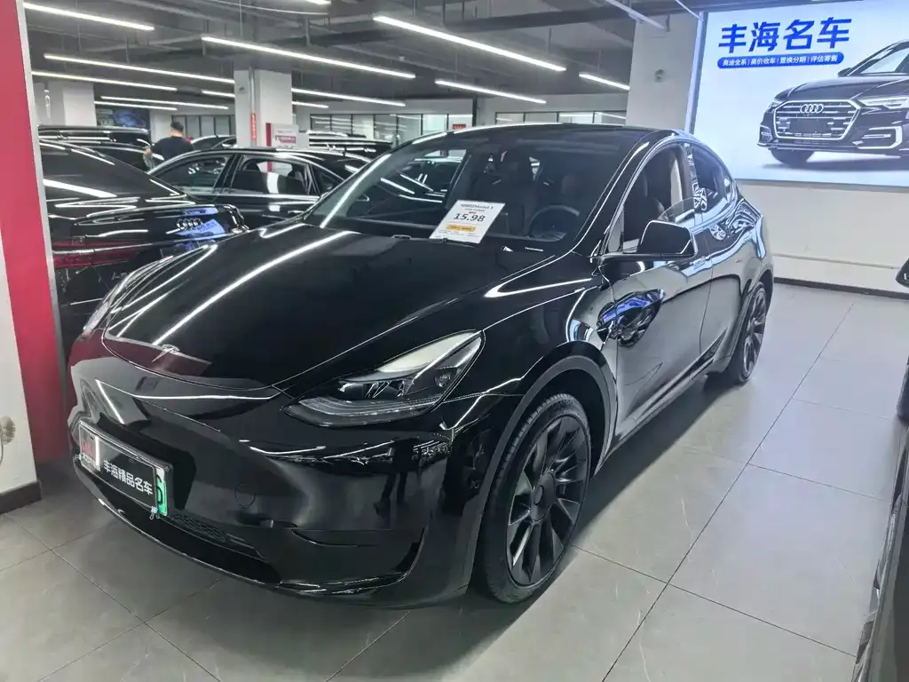 Tesla Model Y — фото 1
