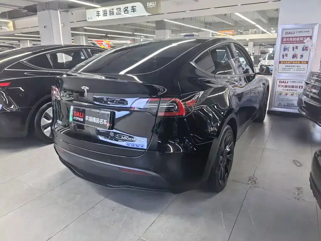 Tesla Model Y — фото 5