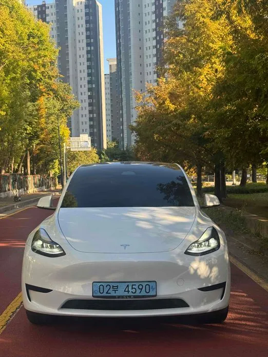 Tesla Model Y — фото 1