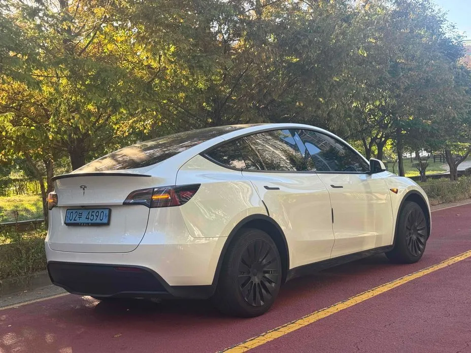 Tesla Model Y — фото 9