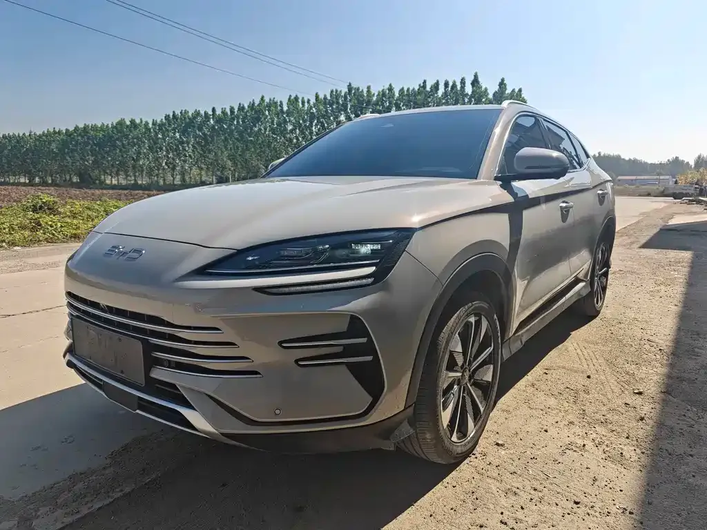 BYD PLUS New Energy — фото 1