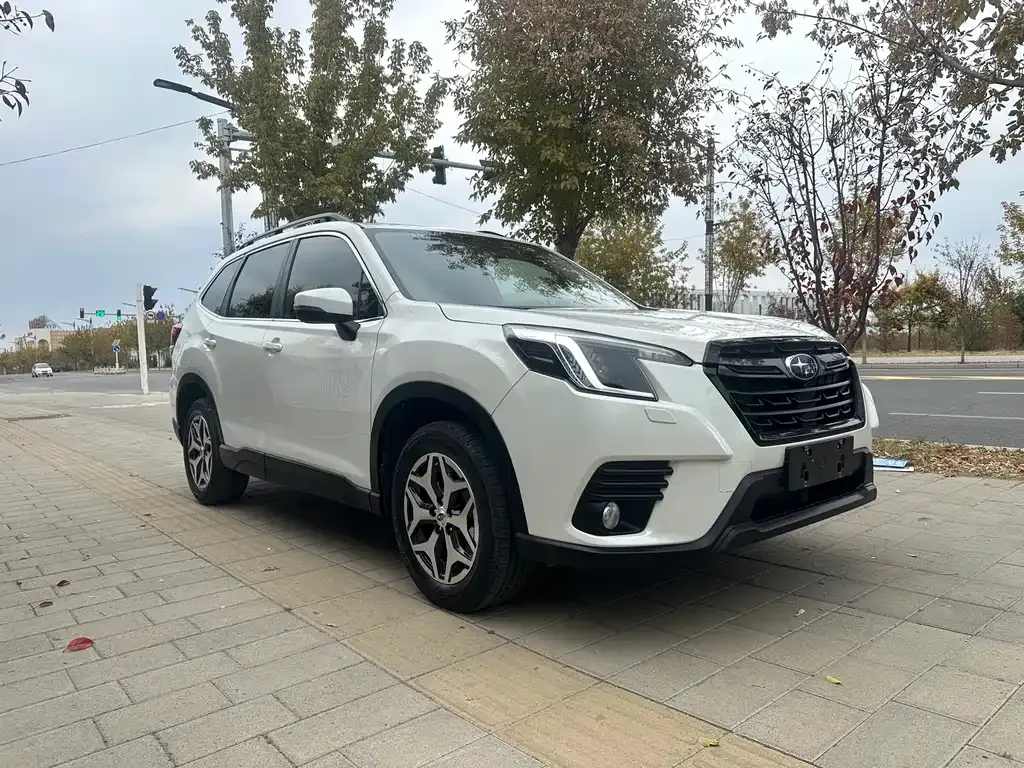 Subaru Forester — фото 10