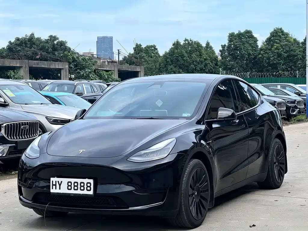 Tesla Model Y — фото 1