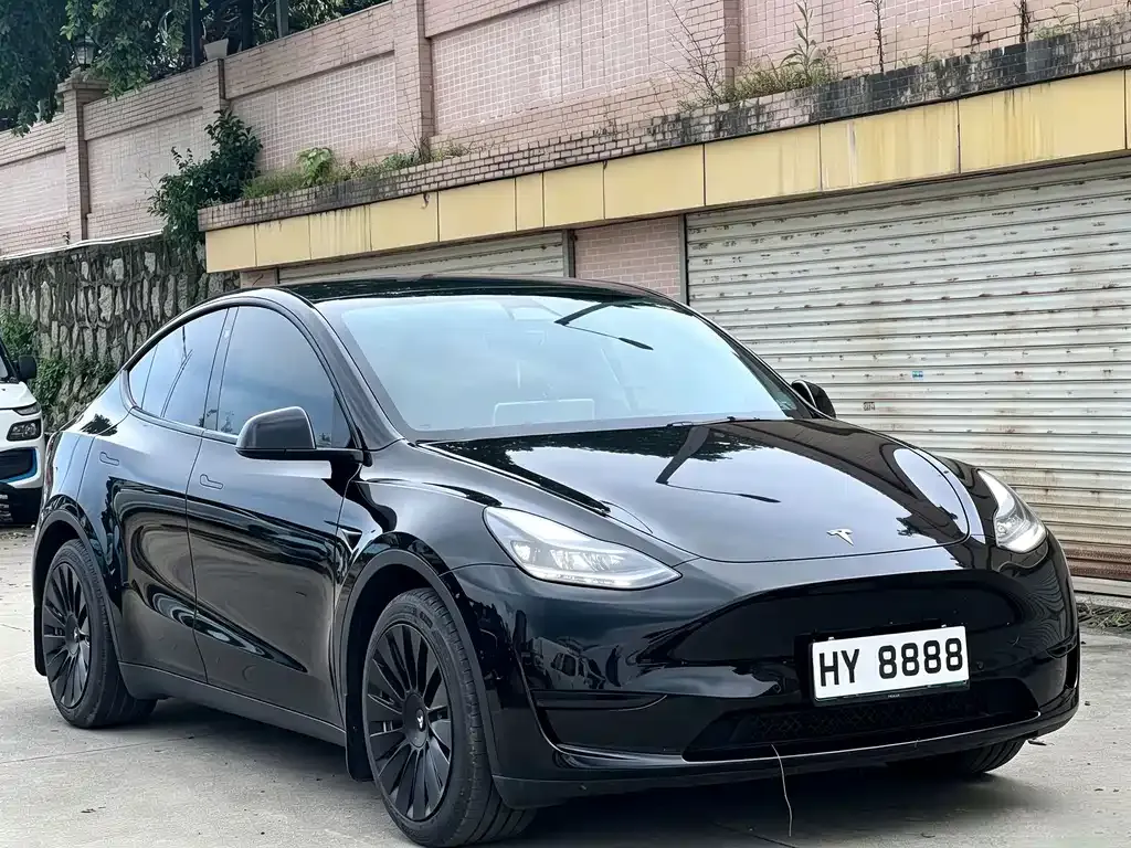 Tesla Model Y — фото 2