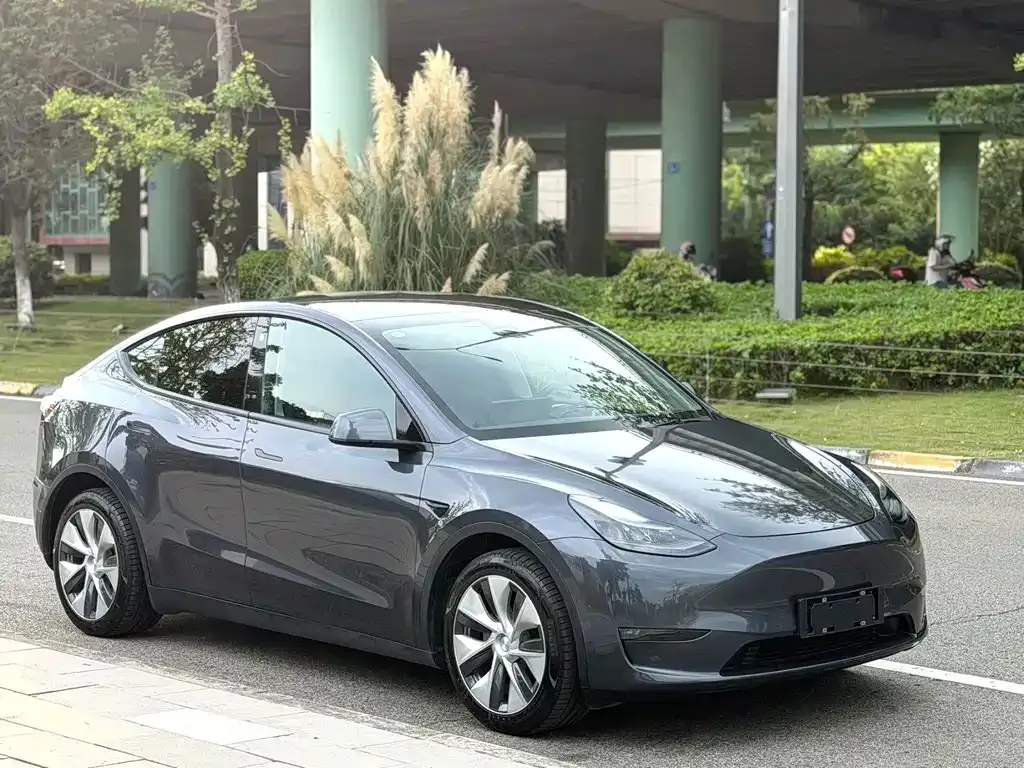 Tesla Model Y — фото 6