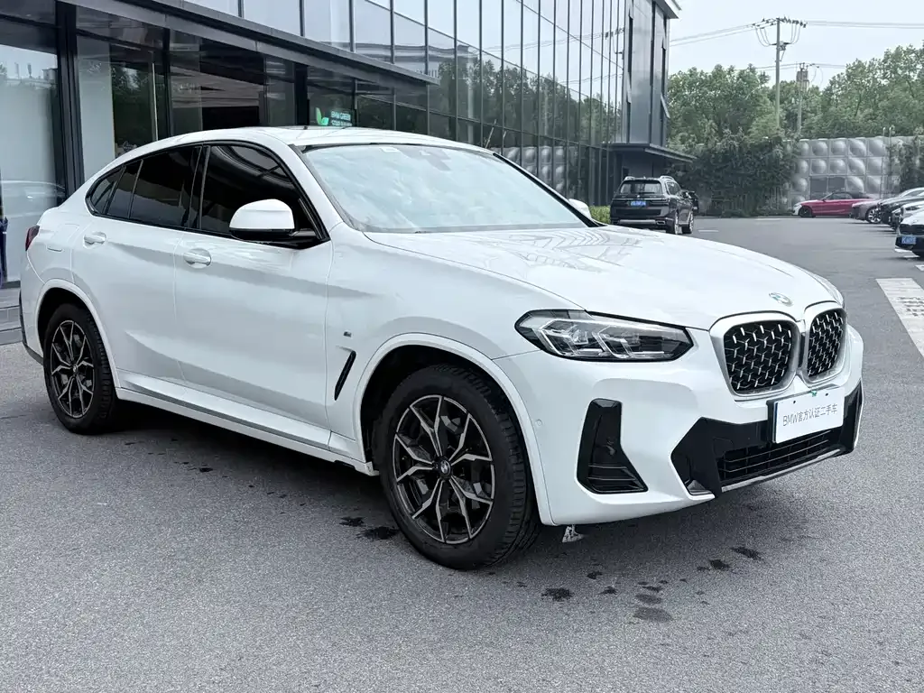 BMW X4 — фото 9