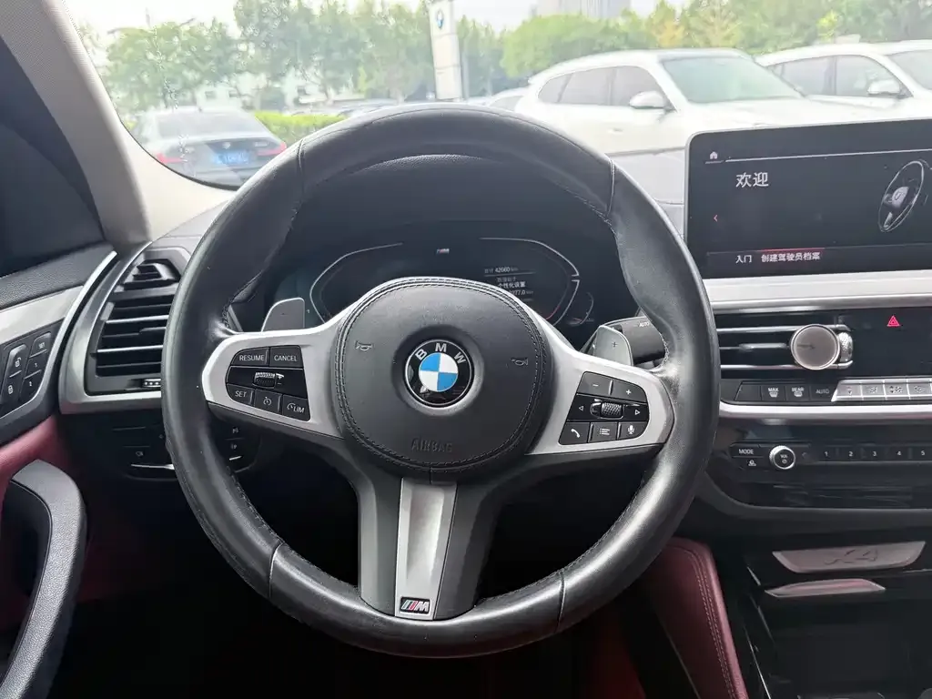 BMW X4 — фото 2