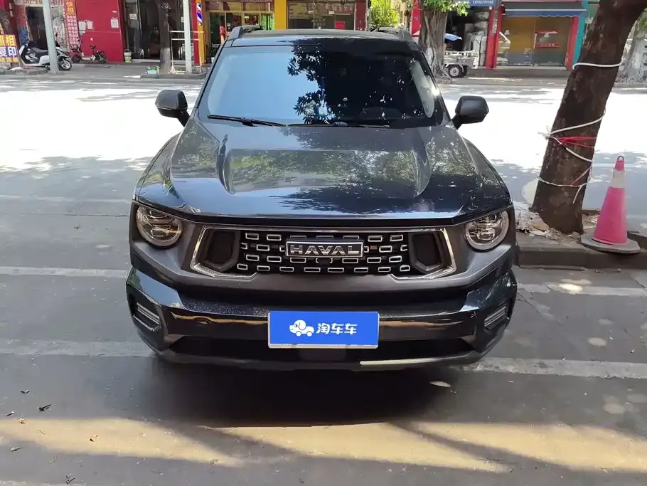 Haval Big Dog PLUS — фото 3