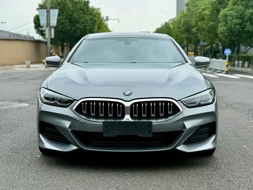 BMW 8 Series — фото 3