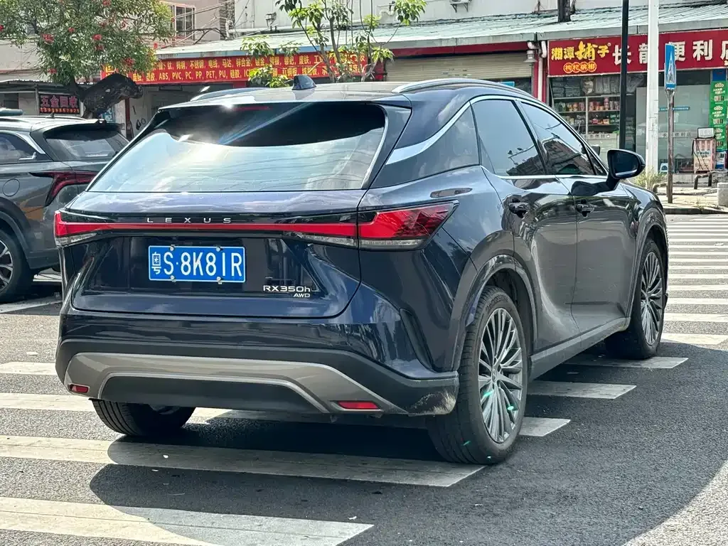 Lexus RX — фото 10