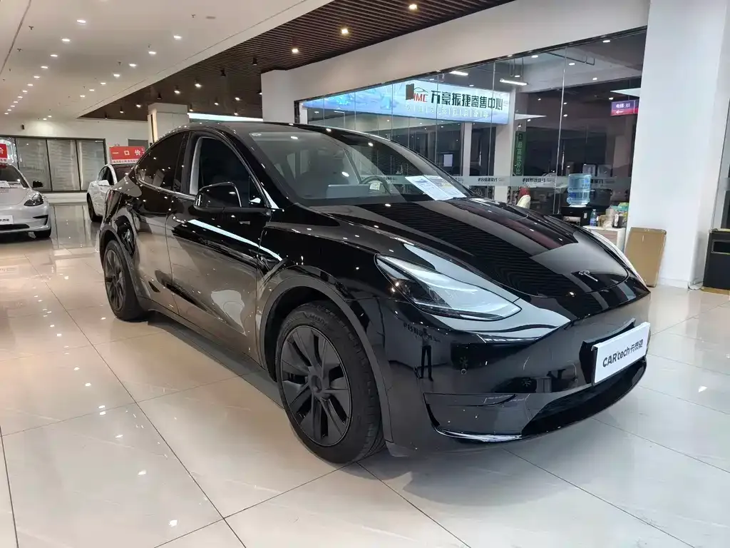 Tesla Model Y — фото 10