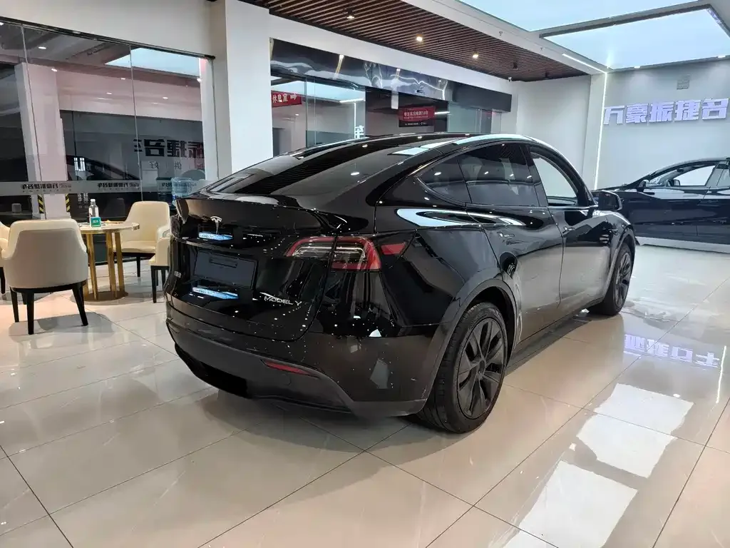 Tesla Model Y — фото 7