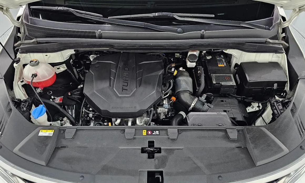 Kia Carnival — фото 10