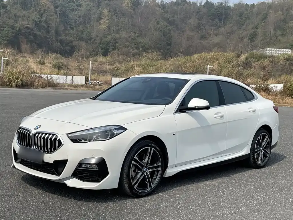 BMW 2 Series (Import) — фото 1