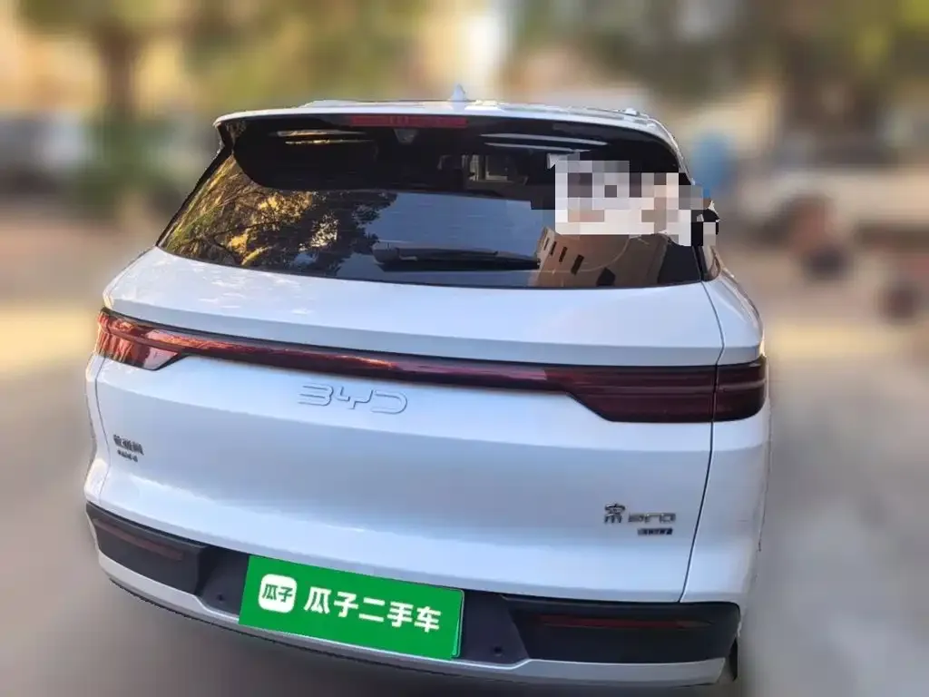 BYD Pro New Energy — фото 3