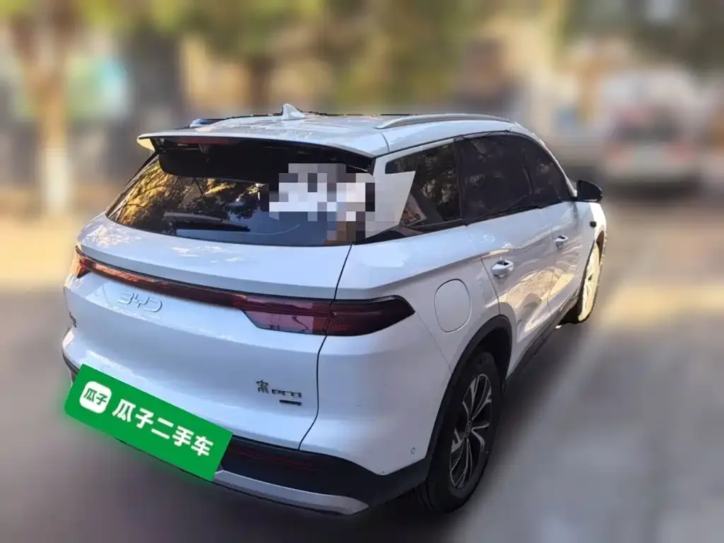 BYD Pro New Energy — фото 4