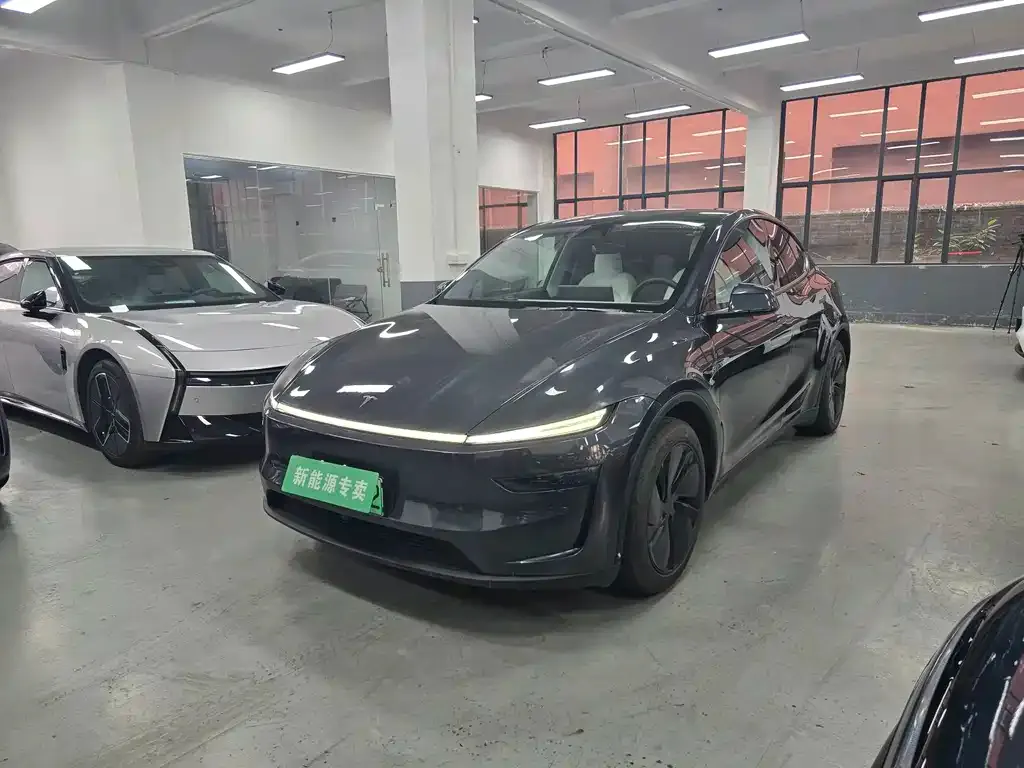 Tesla Model Y — фото 1