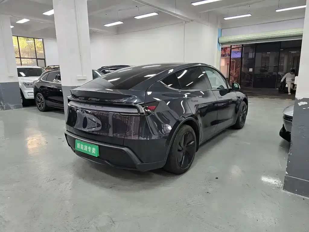 Tesla Model Y — фото 3