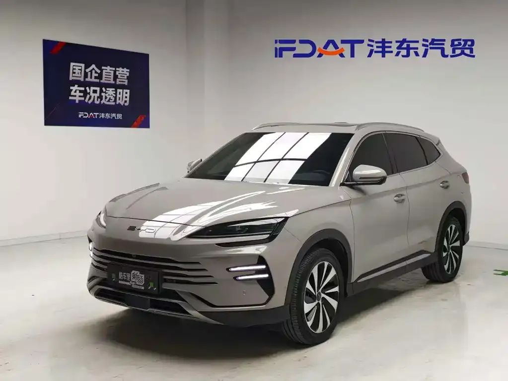 BYD PLUS New Energy — фото 1