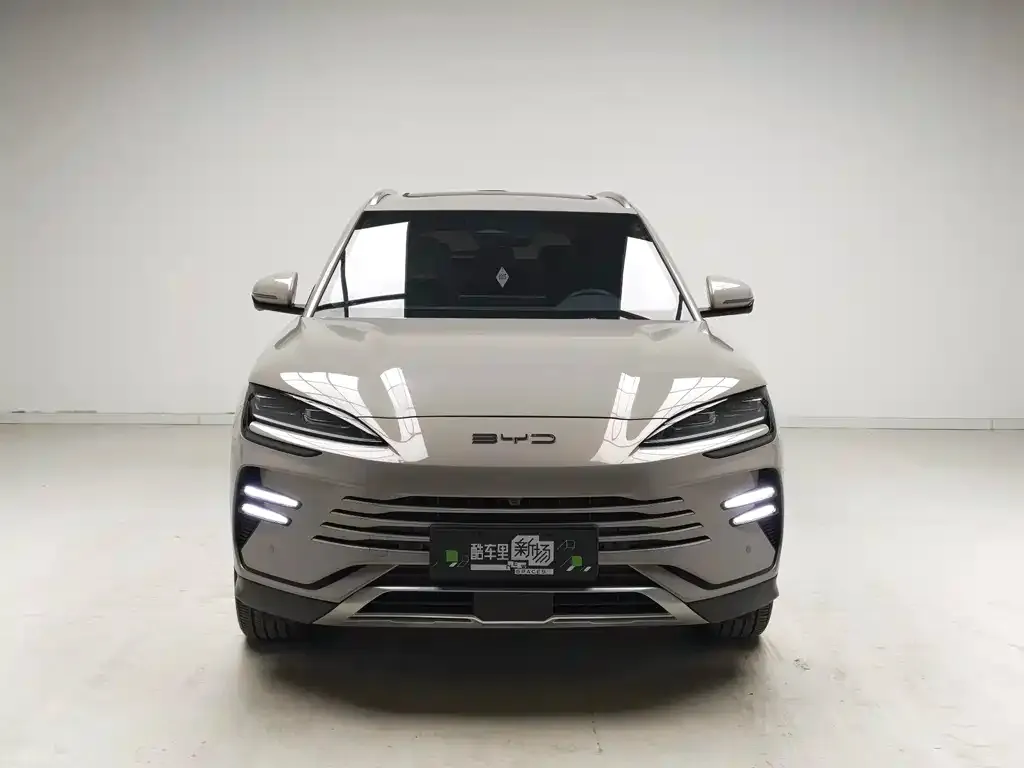 BYD PLUS New Energy — фото 8